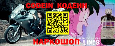 крисы Кулебаки