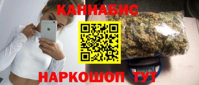 крисы Кулебаки