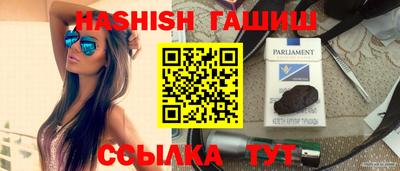 крисы Кулебаки