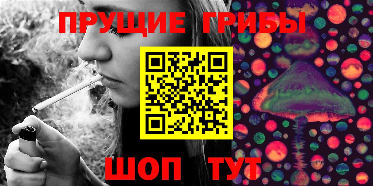 магазин  наркотиков  Псилоцибиновые грибы MAGIC MUSHROOMS  Вход с VPN  Шуя 
