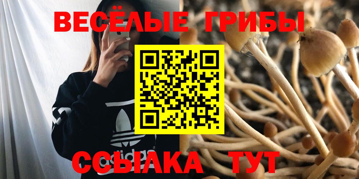 Галлюциногенные грибы Cubensis Шуя