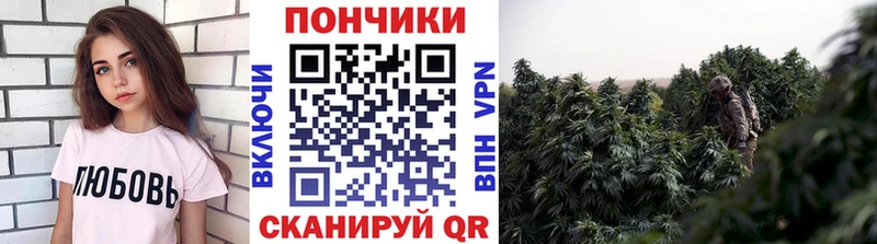 Конопля план  Шуя 