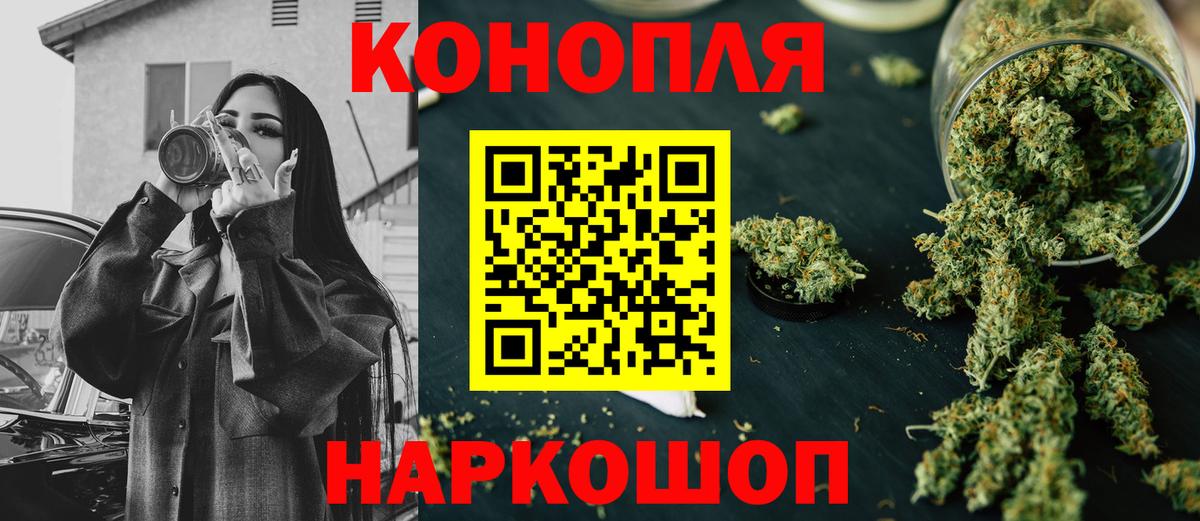 Бошки Шишки план Шуя